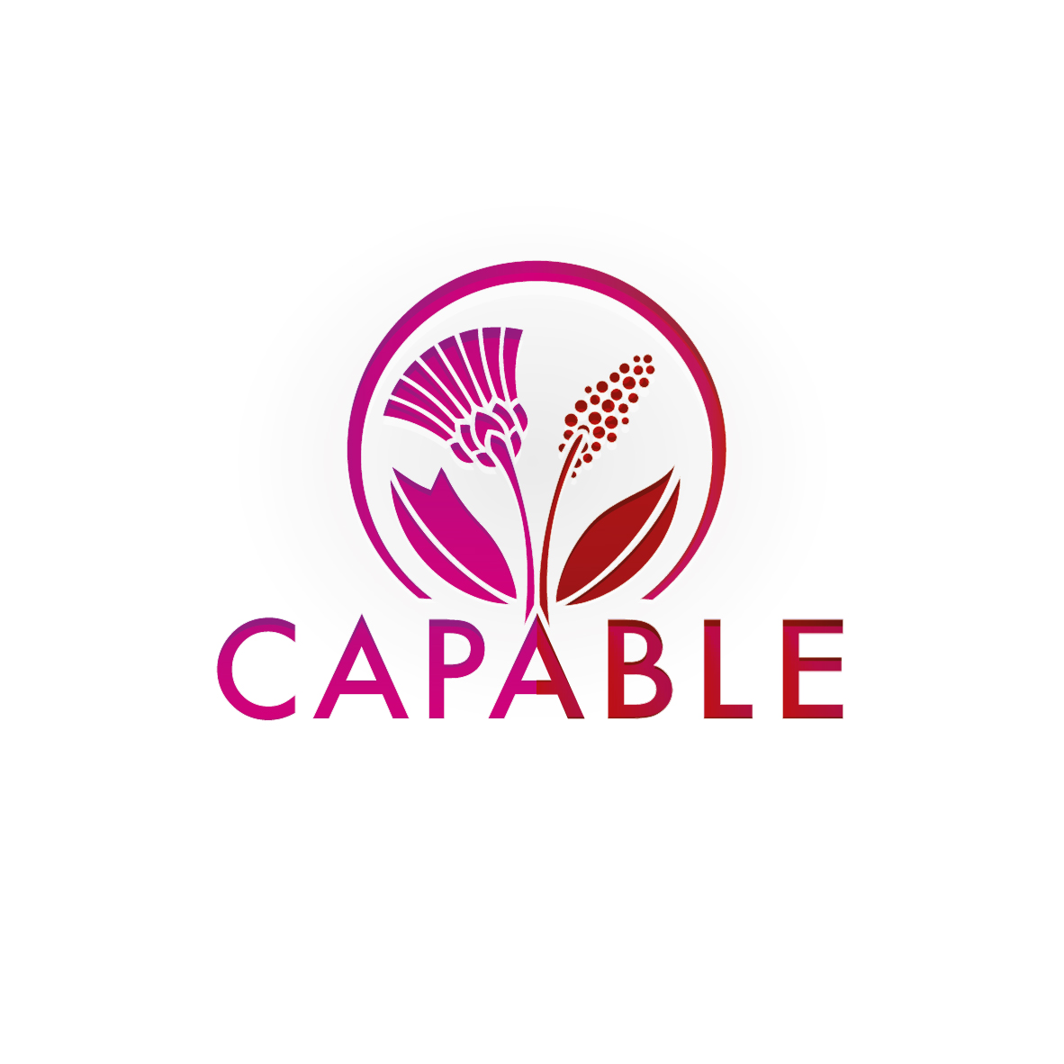 logo du projet CAPABLE